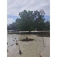 Mangrove Restoration Training - AU-IBAR Collaboration with KMFRI image